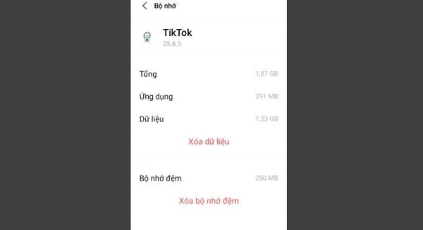 Xoá bộ nhớ đệm của TikTok